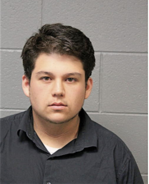 FERNANDO RAMIREZ, Cook County, Illinois