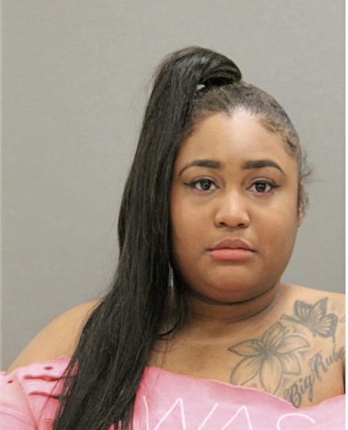 BRITTANY L RAYBURN, Cook County, Illinois