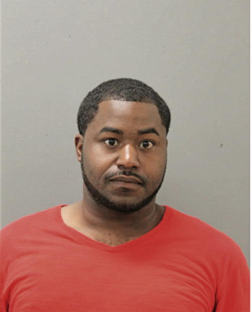 PABLO J RAYNER, Cook County, Illinois