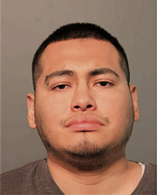 RAMSAHARI ROBLES, Cook County, Illinois