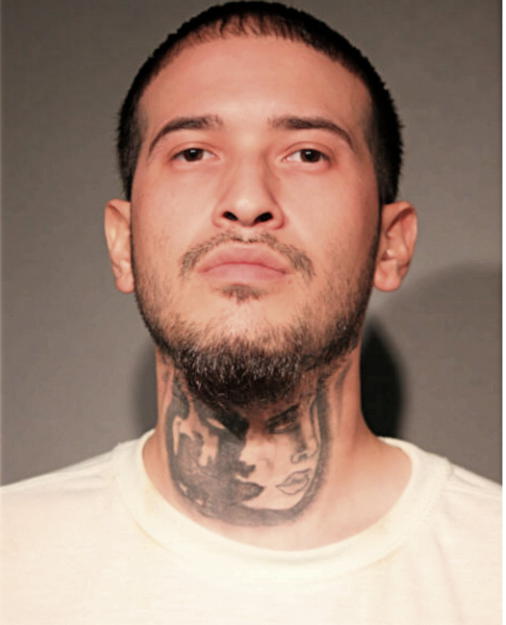 MATTHEW A RODRIGUEZ, Cook County, Illinois