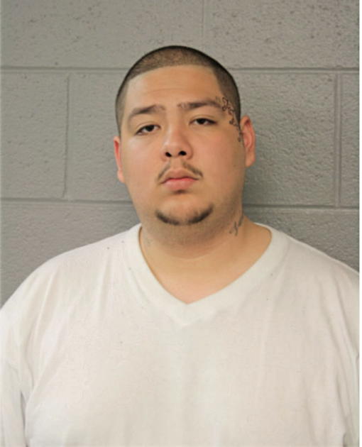 DAVID G SALINAS, Cook County, Illinois