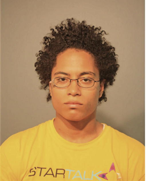 ANTHONY O SCHLEICHER, Cook County, Illinois