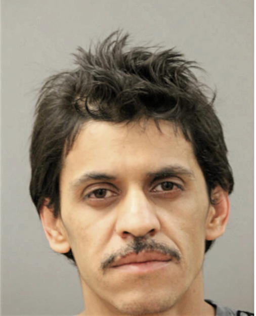 JOSE L TORRES, Cook County, Illinois
