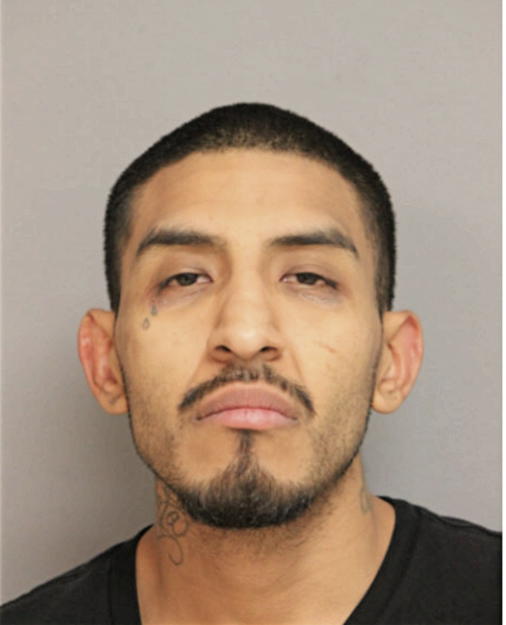 RAFAEL UGARTE, Cook County, Illinois