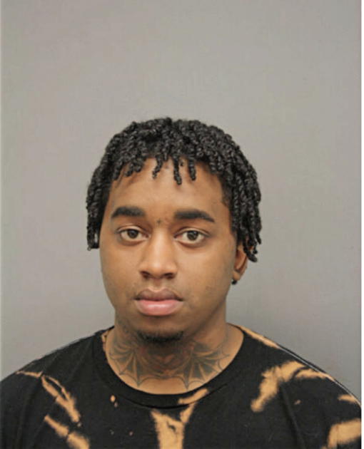 CALEB N WHITE, Cook County, Illinois