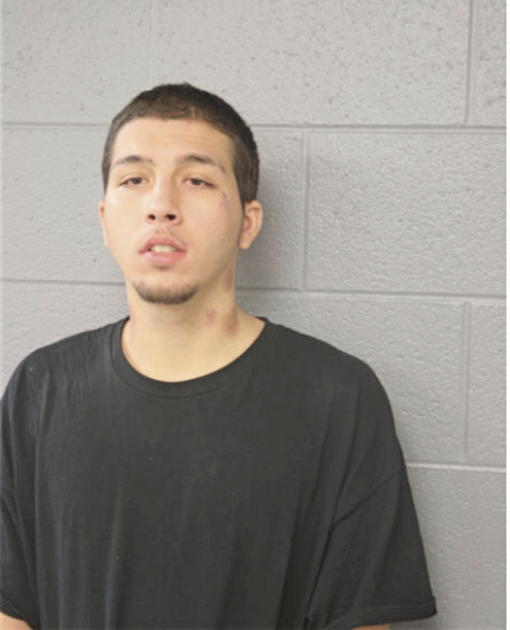 VINCENT ARIZZI, Cook County, Illinois