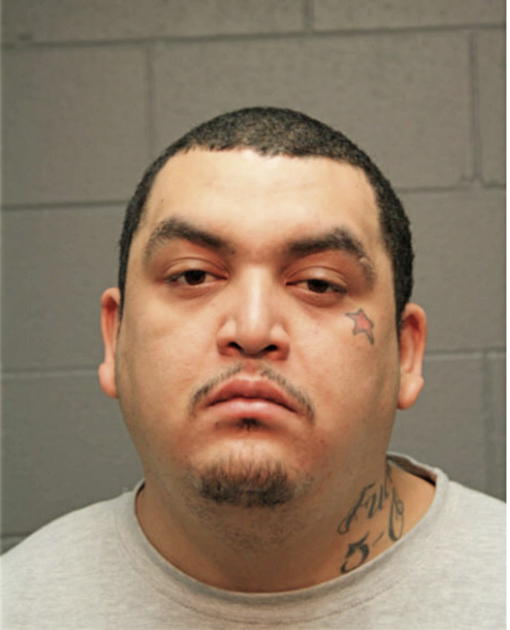 ARTEMIO ARTEAGA-GUZMAN, Cook County, Illinois