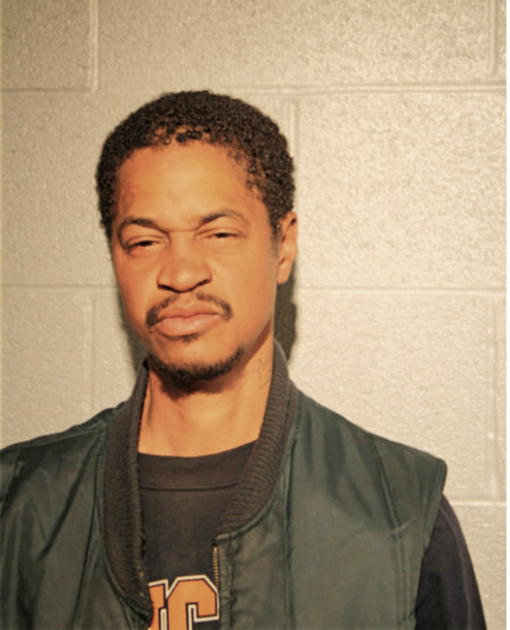 TERRANCE L BRADLEY, Cook County, Illinois