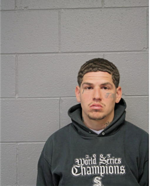 RUSTY BRONGE, Cook County, Illinois
