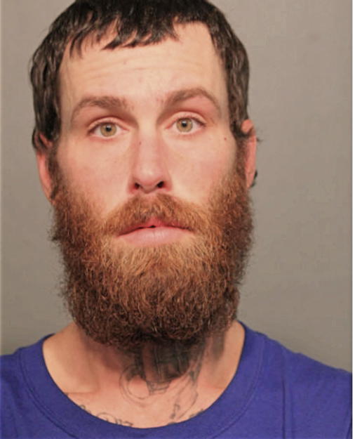 PAUL R BURLINGAME, Cook County, Illinois