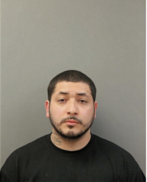LUIS M CARBAJAL, Cook County, Illinois