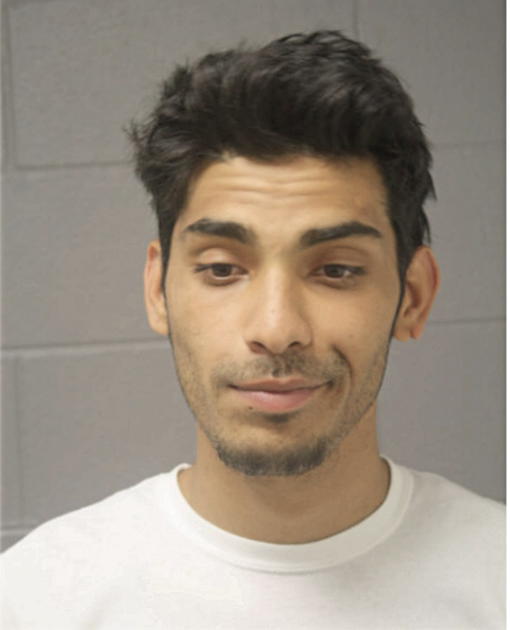SEAN T CHARMACK, Cook County, Illinois