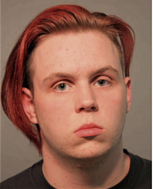 NATHAN P COLLEY, Cook County, Illinois