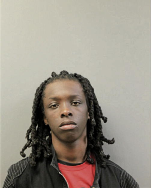 NIGEL L CONNER, Cook County, Illinois