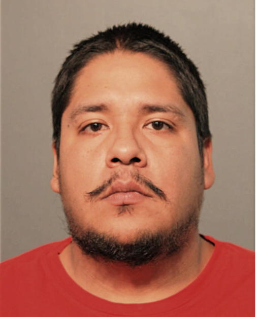 JOSE FLORES, Cook County, Illinois