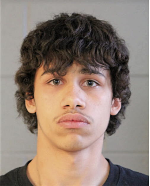DEONTE FLOWERS, Cook County, Illinois