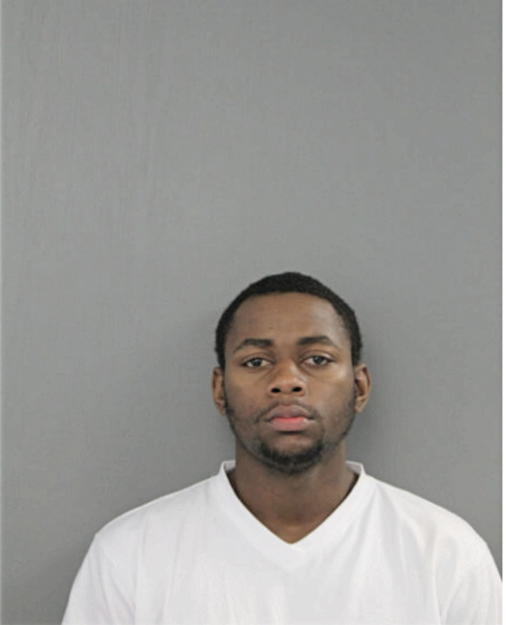 ANDRE J FULTON, Cook County, Illinois