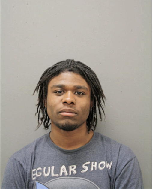 MICHAEL M HARRIS, Cook County, Illinois