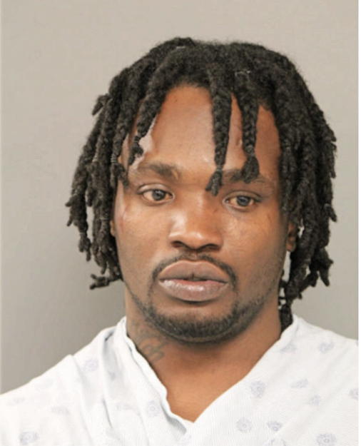 TERRENCE M JACKSON, Cook County, Illinois
