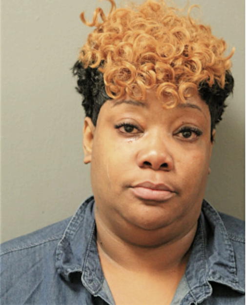 LISA R JORDAN, Cook County, Illinois