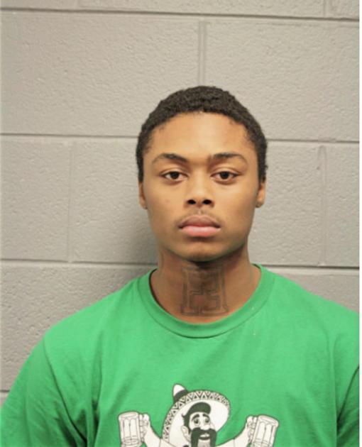 KARI M LEE, Cook County, Illinois