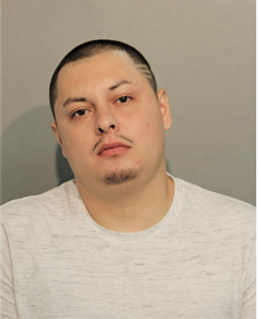 NOHE S MARTINEZ, Cook County, Illinois