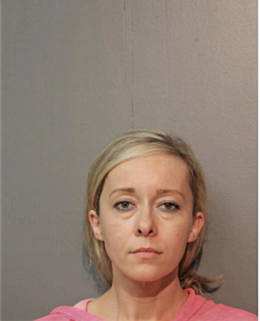 SYLWIA K NIECHCIAL, Cook County, Illinois