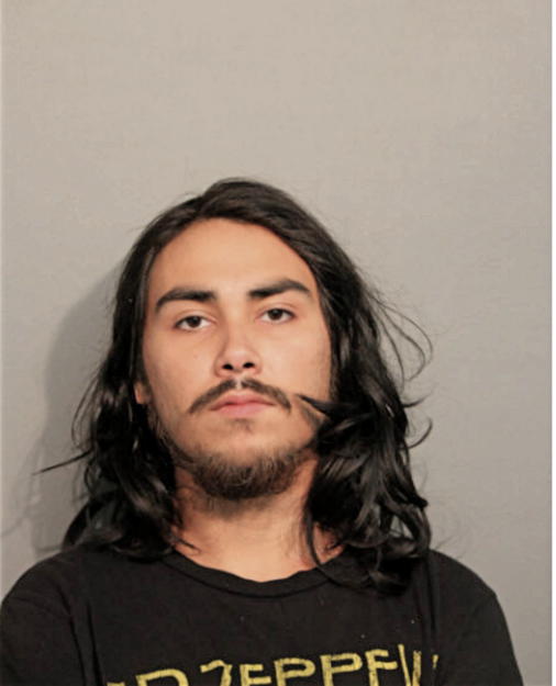 ALEXANDER J RUIZ, Cook County, Illinois