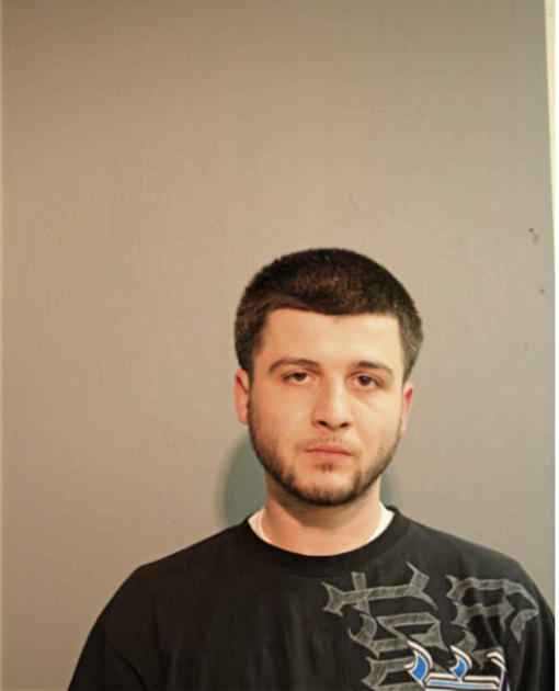 ANDREW P SIMIC, Cook County, Illinois