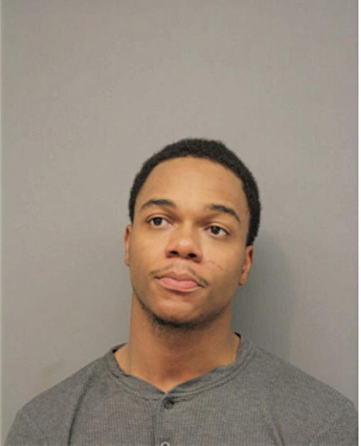 MIKHAEL J WILLIAMS, Cook County, Illinois