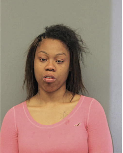NINA B WILLIAMS, Cook County, Illinois