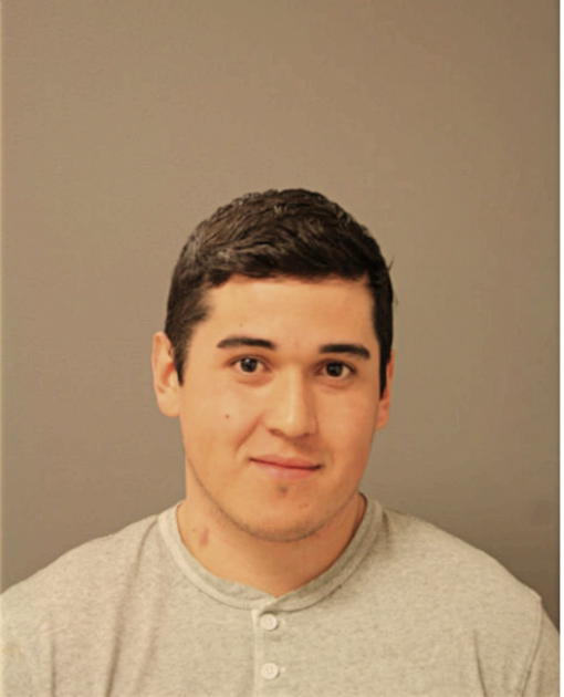 EDGAR ALEMAN, Cook County, Illinois