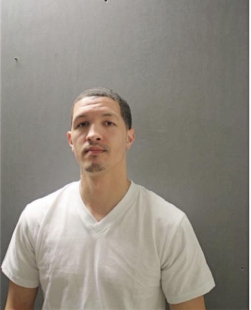 ERYCK T ARNOLD, Cook County, Illinois