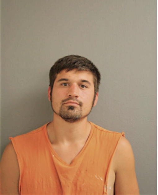MATTHEW J BOZEK, Cook County, Illinois