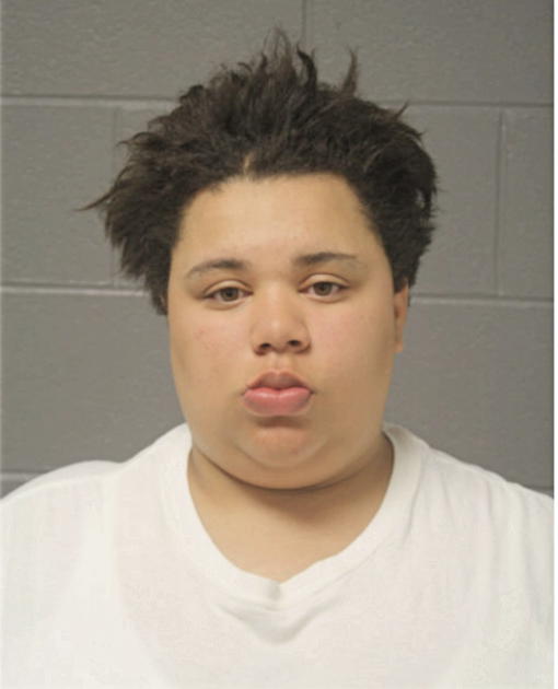 ERYKAH BRIDGES, Cook County, Illinois