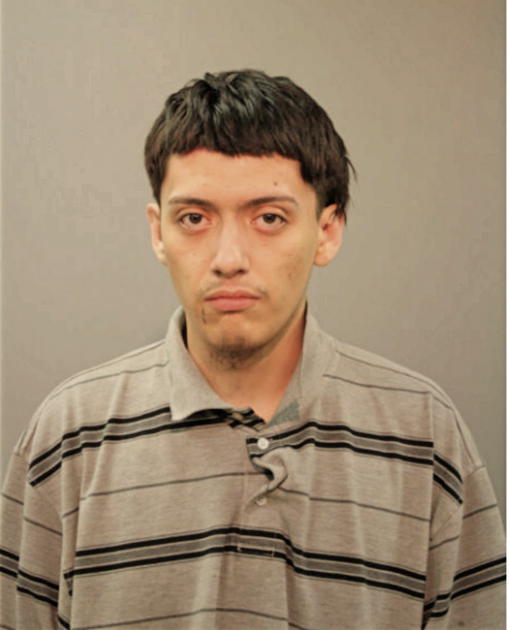 FERNANDO BRITO, Cook County, Illinois