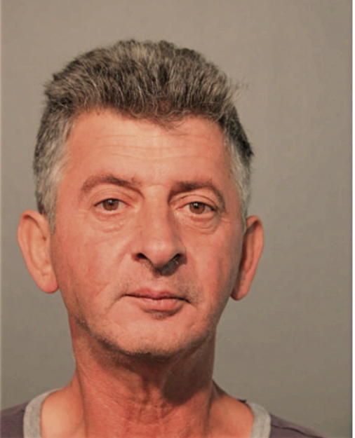 MIRSAD DIZDAREVIC, Cook County, Illinois