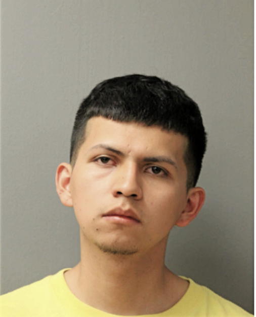 DANIEL M DOMINGUEZ, Cook County, Illinois