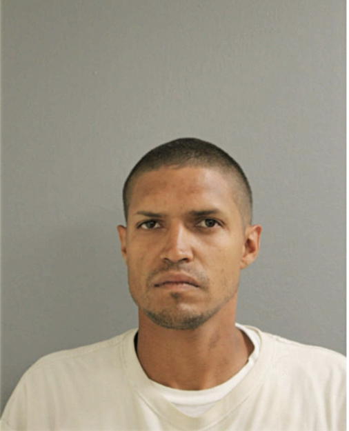 NELSON FLORES, Cook County, Illinois
