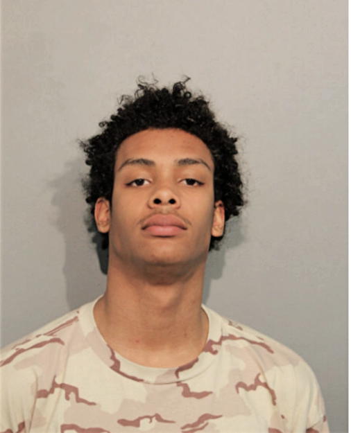 FABIAN A GILLETT, Cook County, Illinois