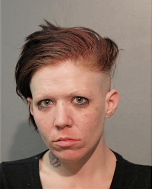 RENEE GOODE, Cook County, Illinois