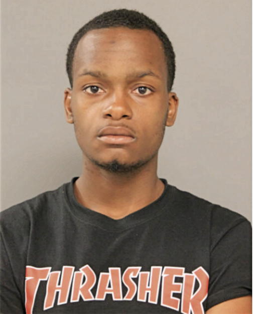 REGINALD R LITTLE, Cook County, Illinois