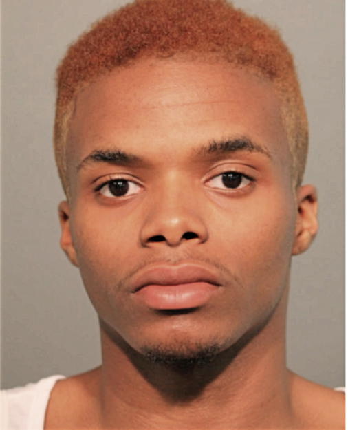 TROYSHON LOWE, Cook County, Illinois