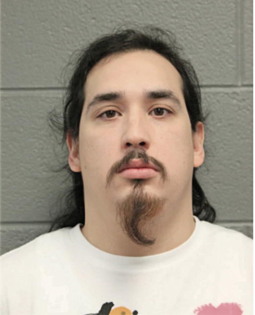 JULIAN L LUGO, Cook County, Illinois