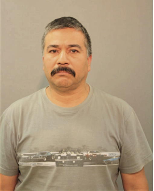 ILDIDIBERTO MARTINEZ, Cook County, Illinois