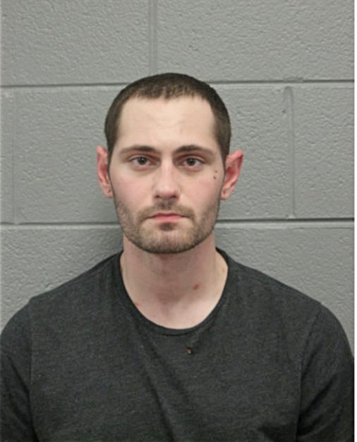 ALEXANDER J NICKLAS, Cook County, Illinois