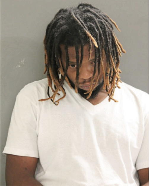 DION D WALKER, Cook County, Illinois