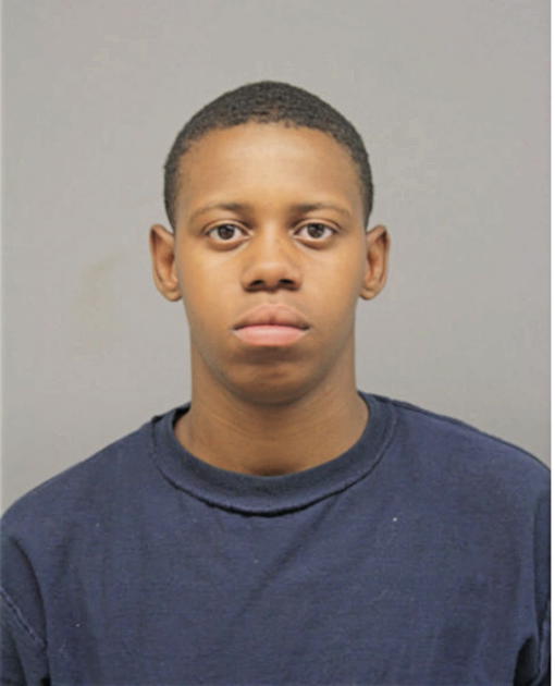ASHLEE L WILLIAMS, Cook County, Illinois