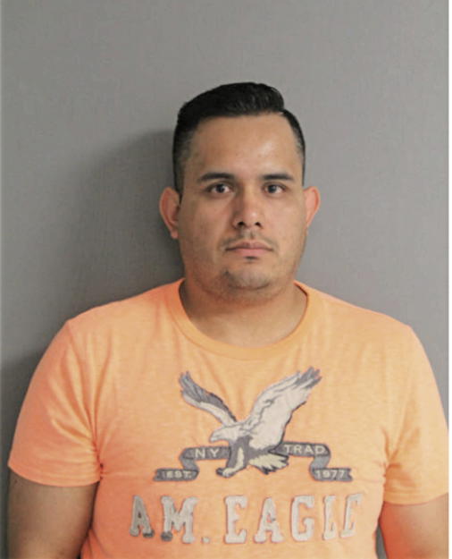 MARIO E ALVAREZ, Cook County, Illinois